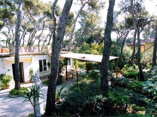 Hotel Park Boutique Castiglioncello Kültér fotó